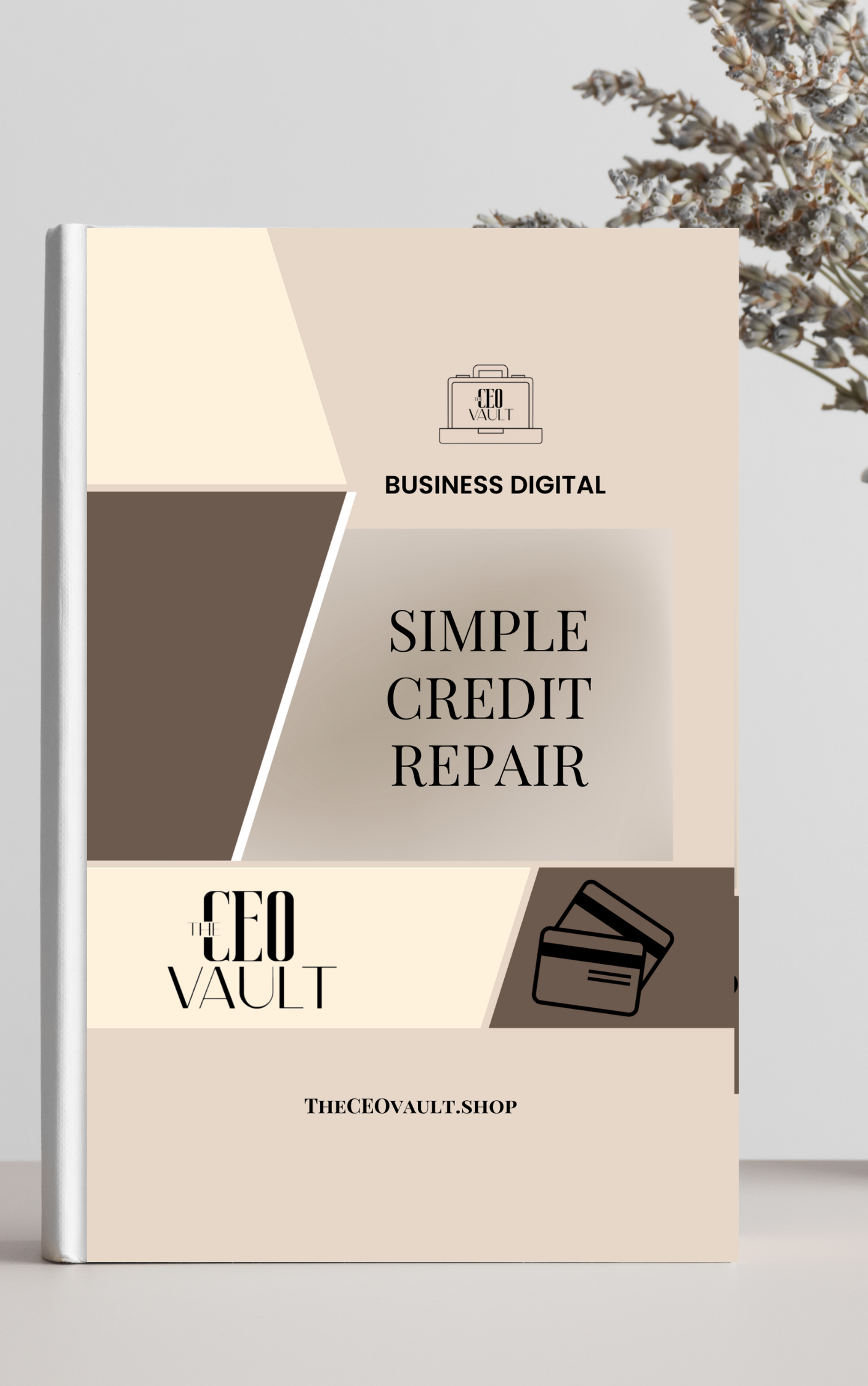 Simple Credit Repair